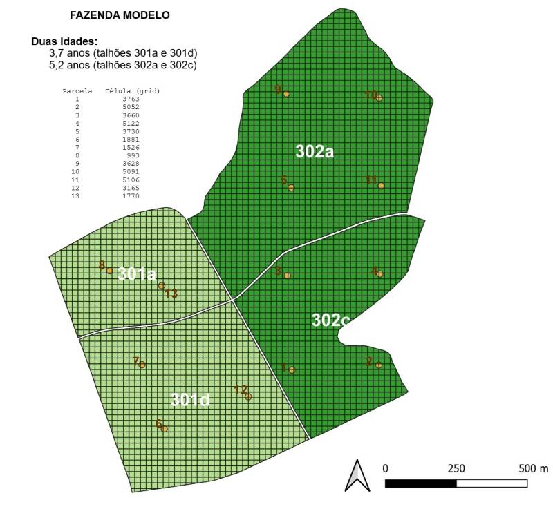 fzdamodelo_grid.jpg